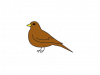 7bukpk0l