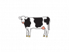 gdq65hmd